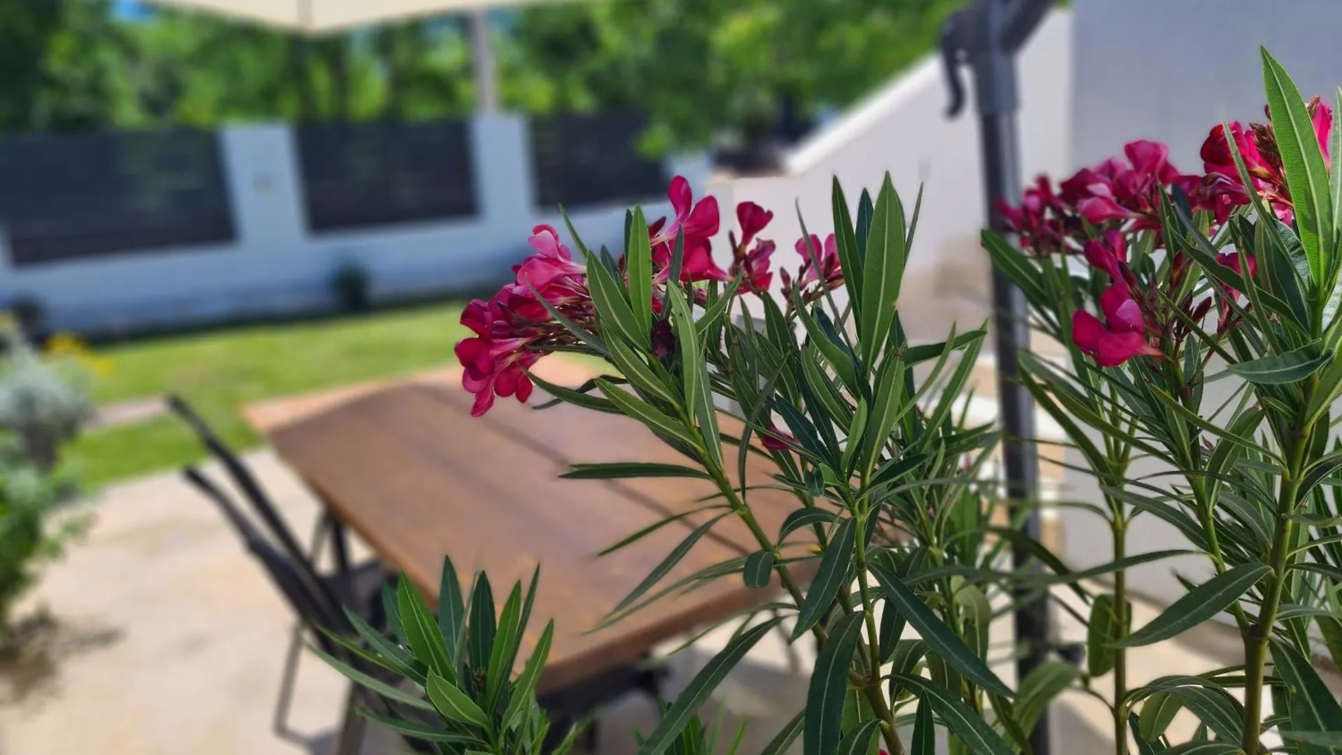 Vacation House With Private Pool And Yard Kozino Holiday home